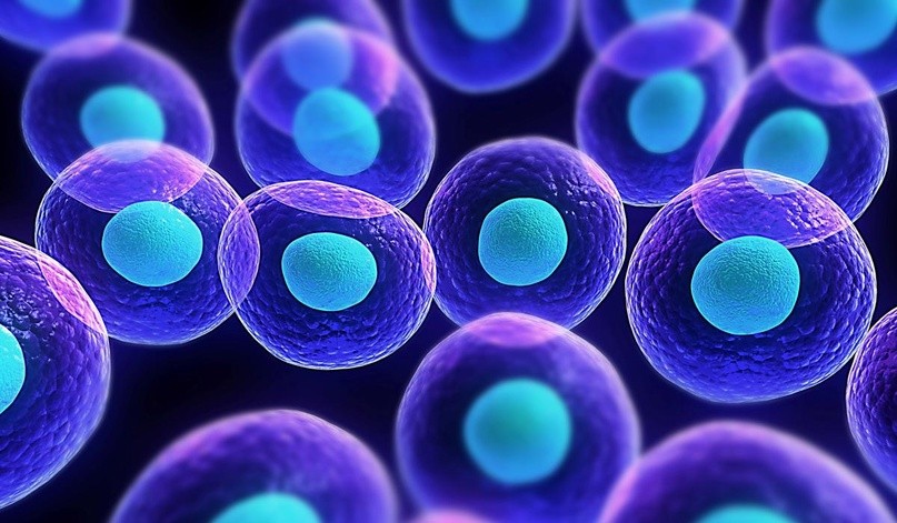 Какие гинекологические манипуляции можно сделать в "Семейной клинике"?